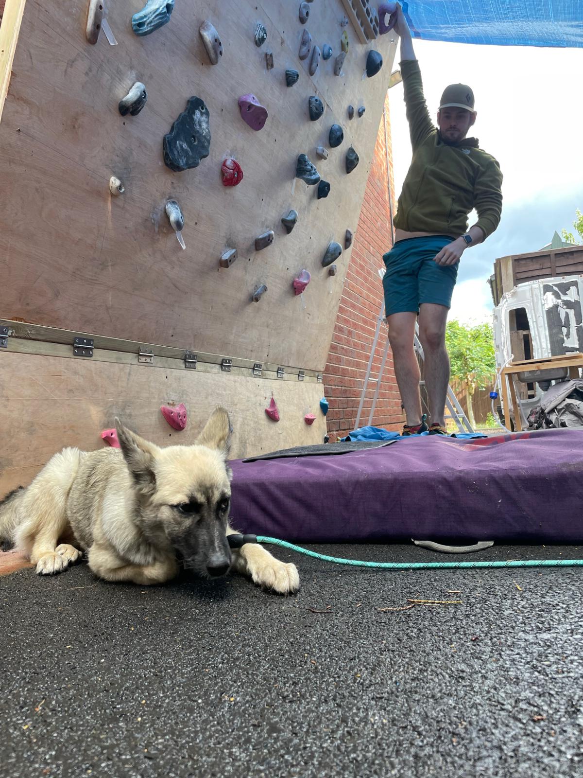 Any excuse to show off my dog tbh